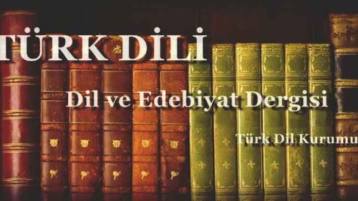 Anadolu Mektebi, Edebiyat Defterinde